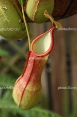 誘うのはどちらから？