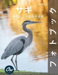 【お題日記】恋人間でお金の貸し借りはあり？無し？