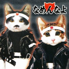 実はこんな免許持ってます