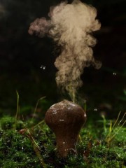 道具使ってたら抜けなくなって焦った経験