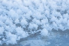 【お題日記】人に言っても信じてくれない事