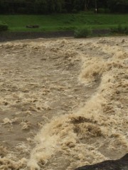 【お題日記】自分で撮った、奇跡の一枚持ってます