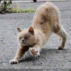 【お題日記】自覚している変な癖