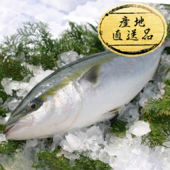 【お題日記】●年振りに