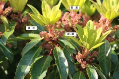 誰かの引退試合観に行った事ある？