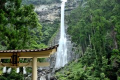 H中に電話が！あなたなら出る？