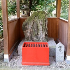 【お題日記】最近したいなと思った瞬間は？