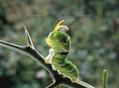 ちょっと特殊なプレイ経験ある？