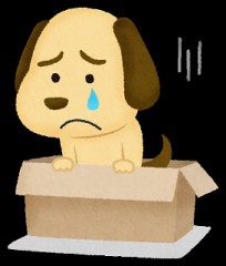 本能的に「この人いいかも」って思う瞬間は？