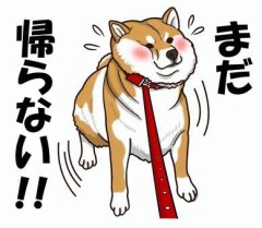 「今日は流れで…」ってなる瞬間ある？