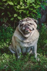 遠距離恋愛は続くと思う？