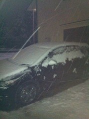 積もりましたね。