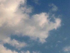 台風一過ですね