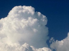 さよなら夏の日