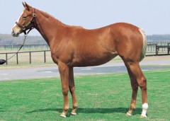 「さっしゅ」とは・・・(..?)