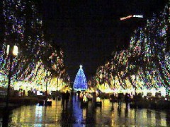 【お題日記】冬のイルミネーション、どんなものが好き？