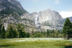 【お題日記】今日はカメラの日！自慢の写真をUPして♪