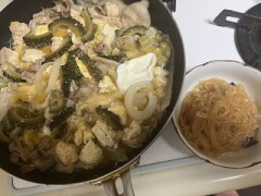 今日はゴウヤチャンプルとマーボー春雨を作って