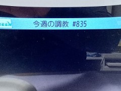 今週の調教