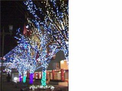 メリークリスマス