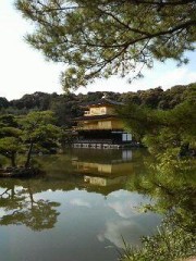 京都に来ています