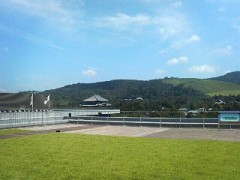 県庁屋上から東大寺を望む