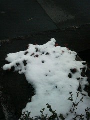 ホワイトクリスマス