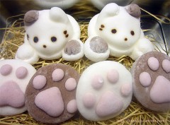 【お題日記】元旦セール・初売りの戦利品報告♪