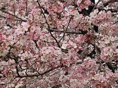 【お題日記】今お金があったら真っ先にこれを買います！