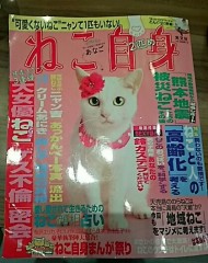 【お題日記】2017年夏の予定