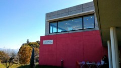 芸術の擁護者！　（なりたいものです）