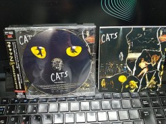 久しぶりに CATS です。