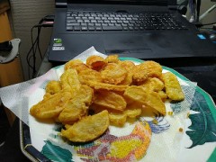 久しぶりの日記