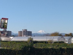 また違った角度からの富士山