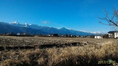 今夜は自宅で DVD！！