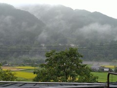 春のちょっとした決意！