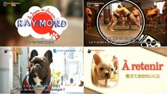 レモンとヌガー！