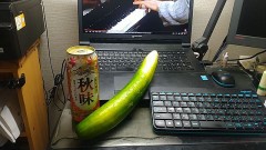 ８月の果て ...（最後の巨大きゅうり）