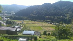 田舎の風景（オモテもウラも山間の田園風景です！）