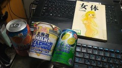 北海道 MILK SeeFoo道（なんだか変なものを買ってきたよ）