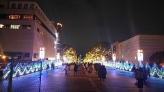 今日は音楽会（一年ぶりのホールコンサート）