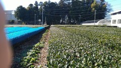 今日のロングドライブでの風景