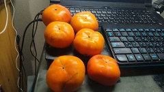 暖かき「色合い」（汝の名は『柿』なり！）  (^_^)