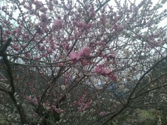 日の出とともに起床！（びっくりだよね、夜勤マンの転身！）