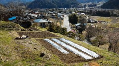 今日の収穫！（毎日一歩ずつですね）