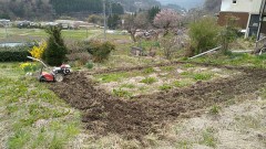 節目の月替り（昨年の今頃、変化がありました）