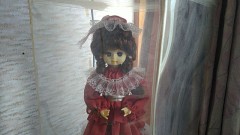 そろそろ「働き」だすかも？？（得意かどうかは～？