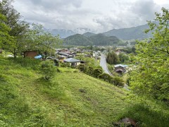 【定点観測】一ヶ月ちょっとでこんなに！