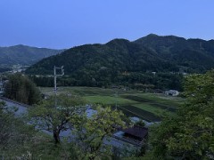 スマホのカメラ（ちょっと驚き！）