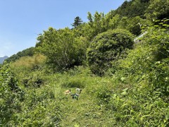 まるで山の中に観えるね（Green Pasture）